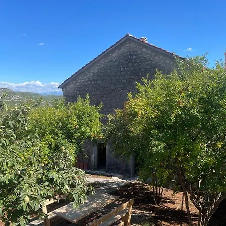Queen's Vintage House Podgorica